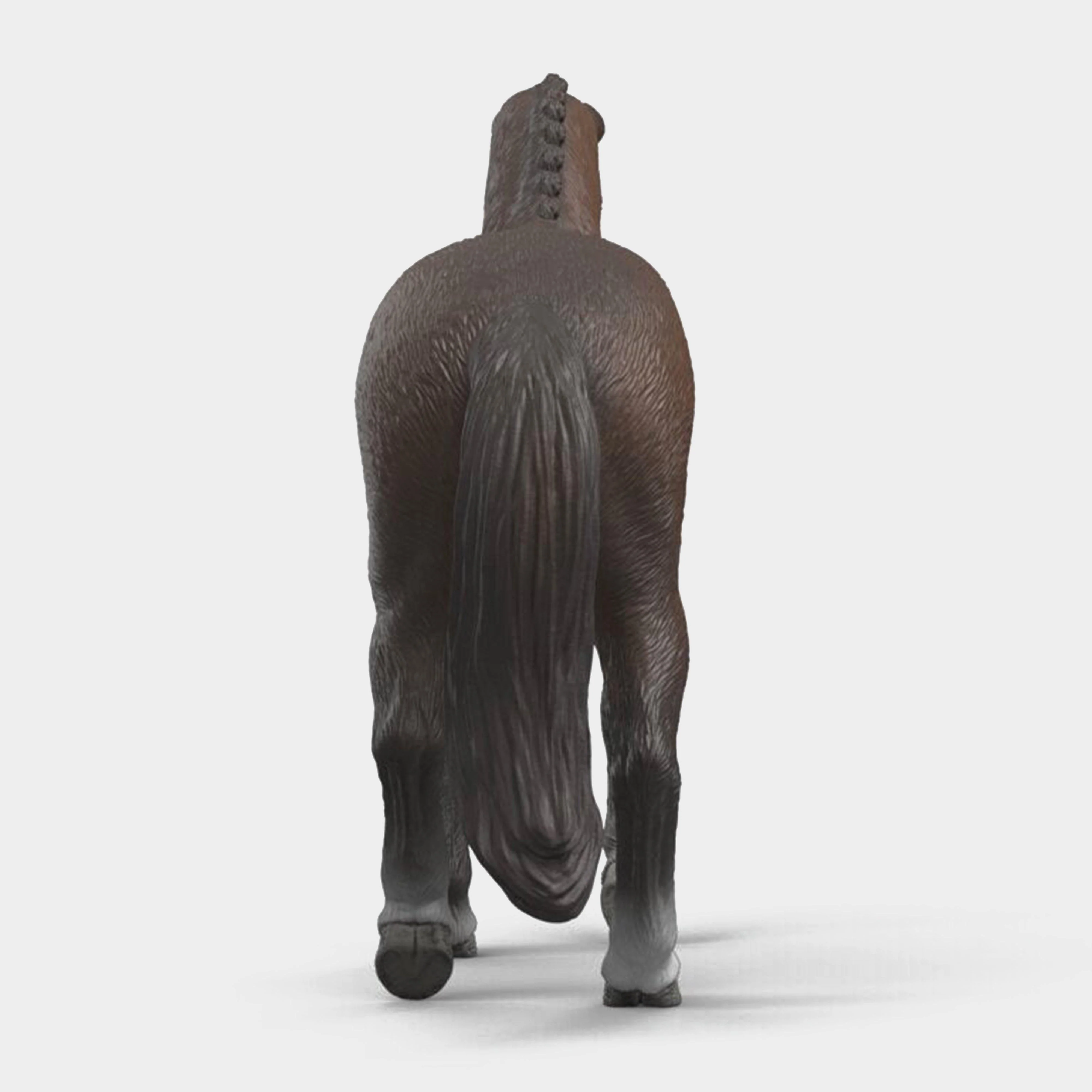 KWPN Gelding - Image 4