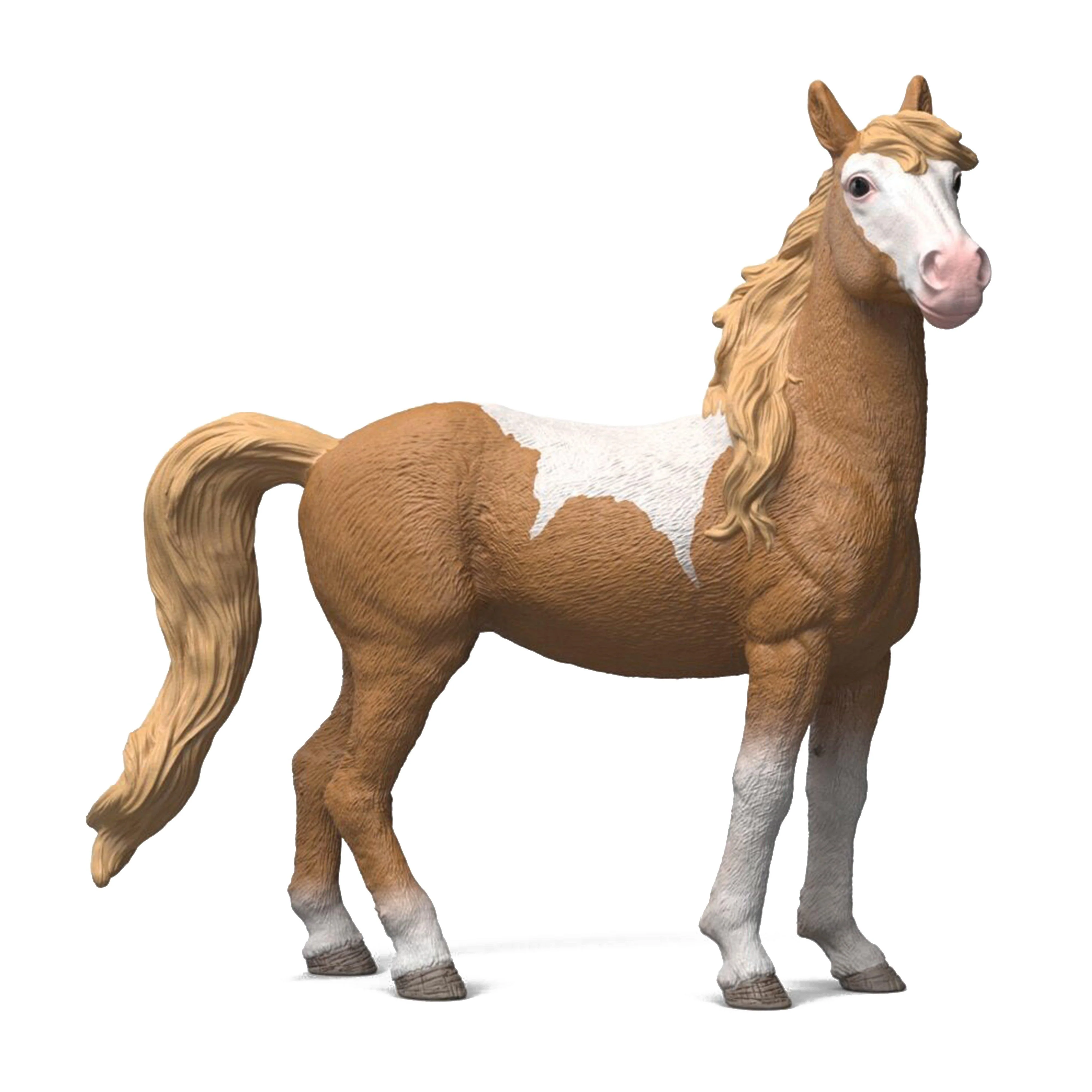 Mustang Mare - Image 6