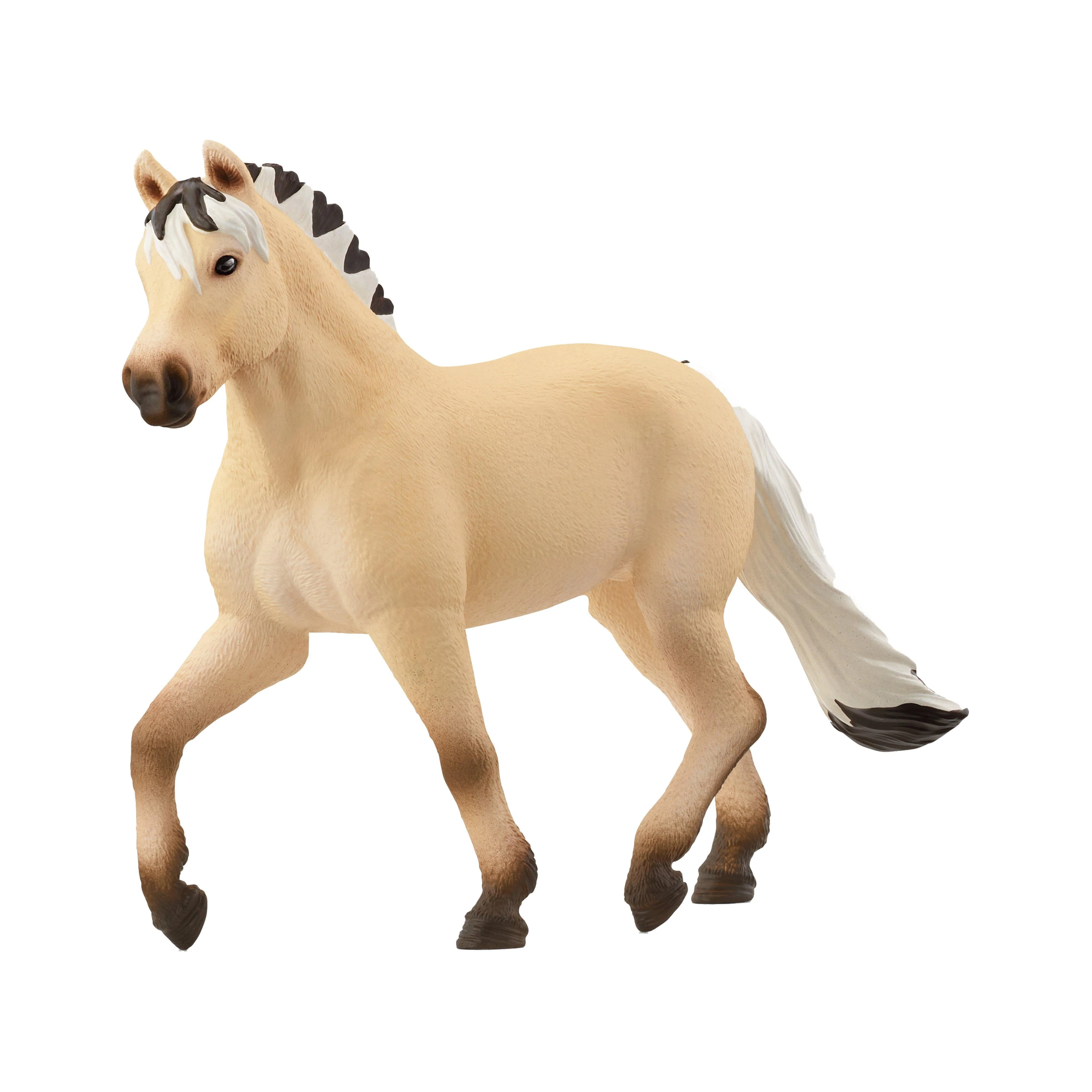 Norwegian Fjord Horse Mare - Image 3