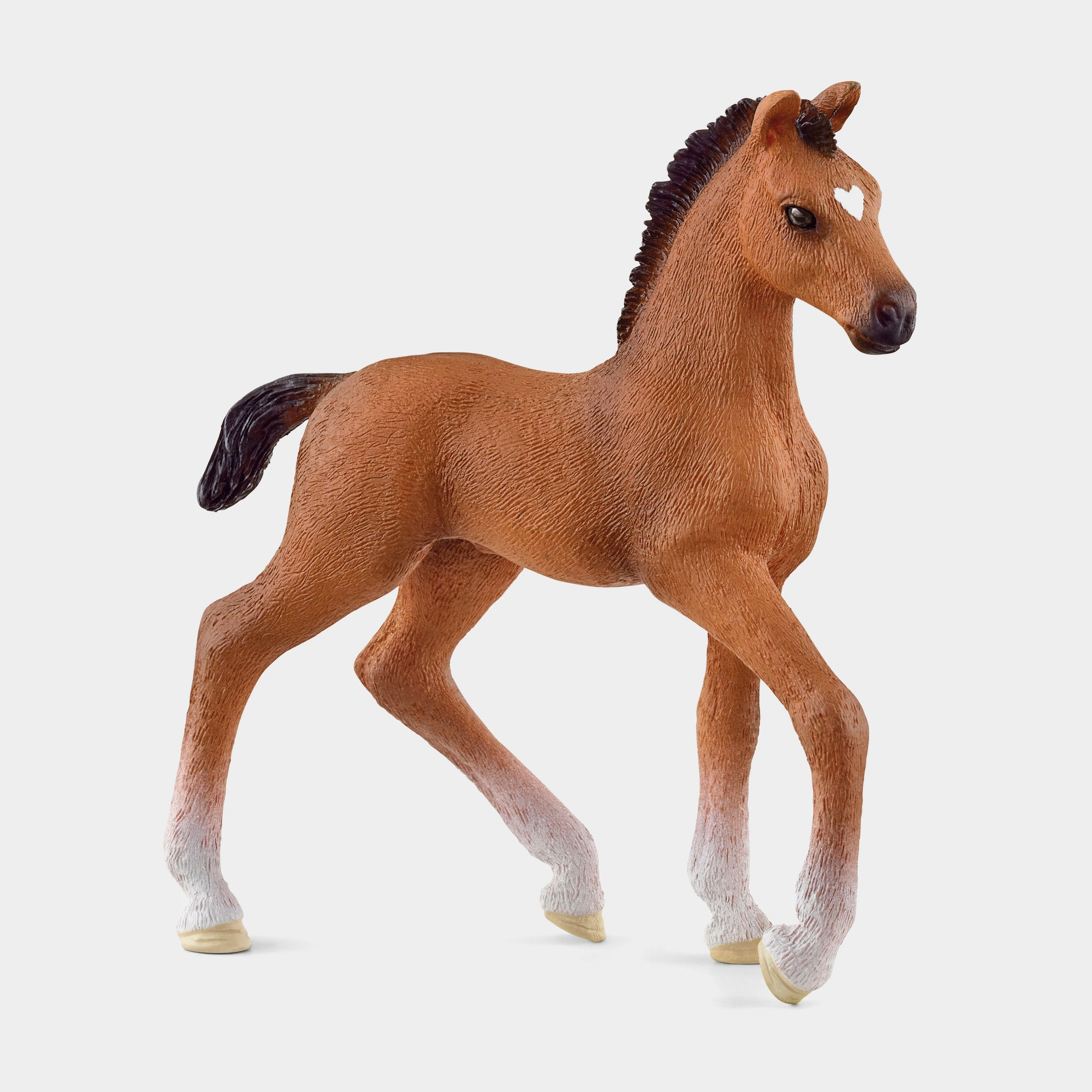 Oldenburger Foal