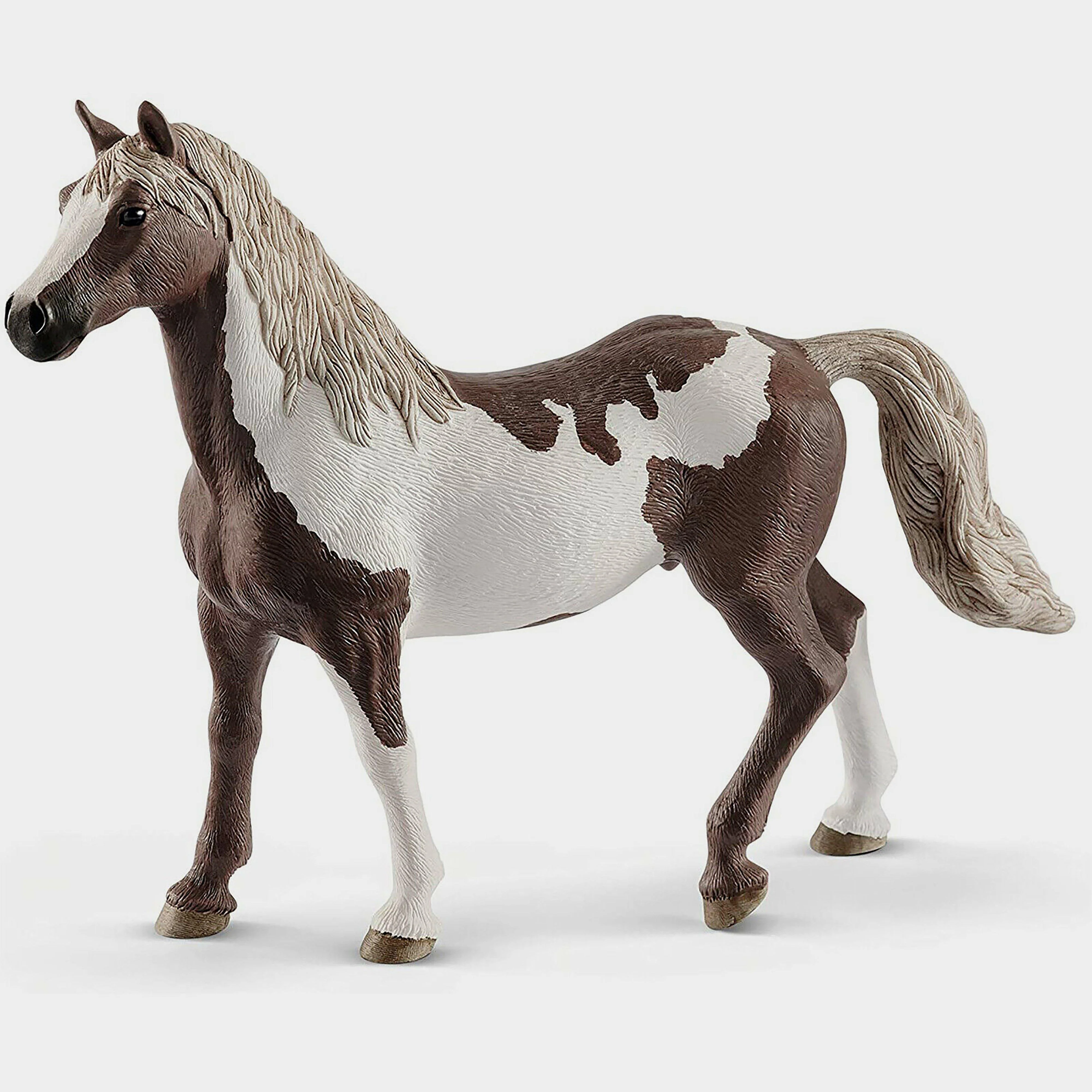 Paint Horse Gelding