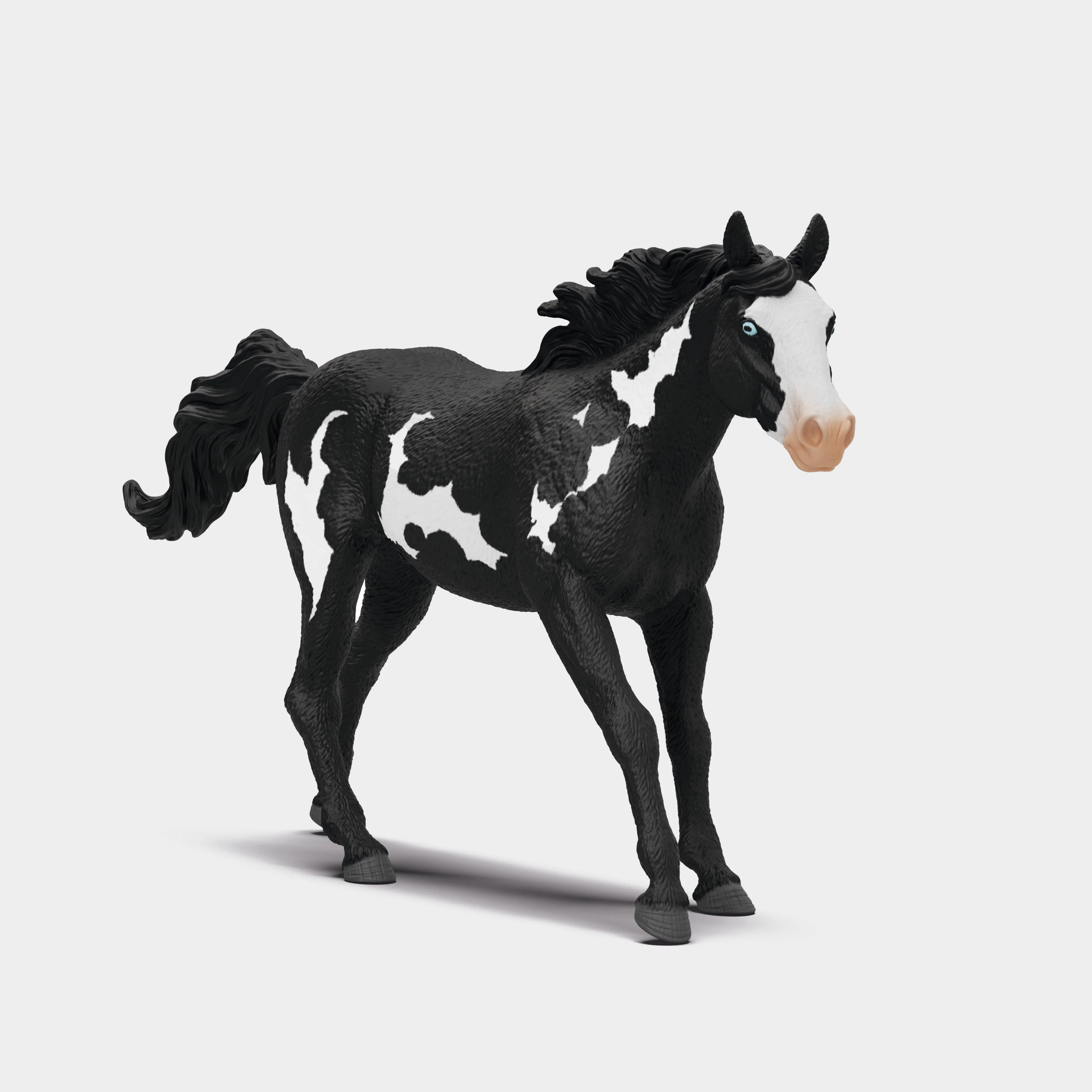 Paint Horse Gelding