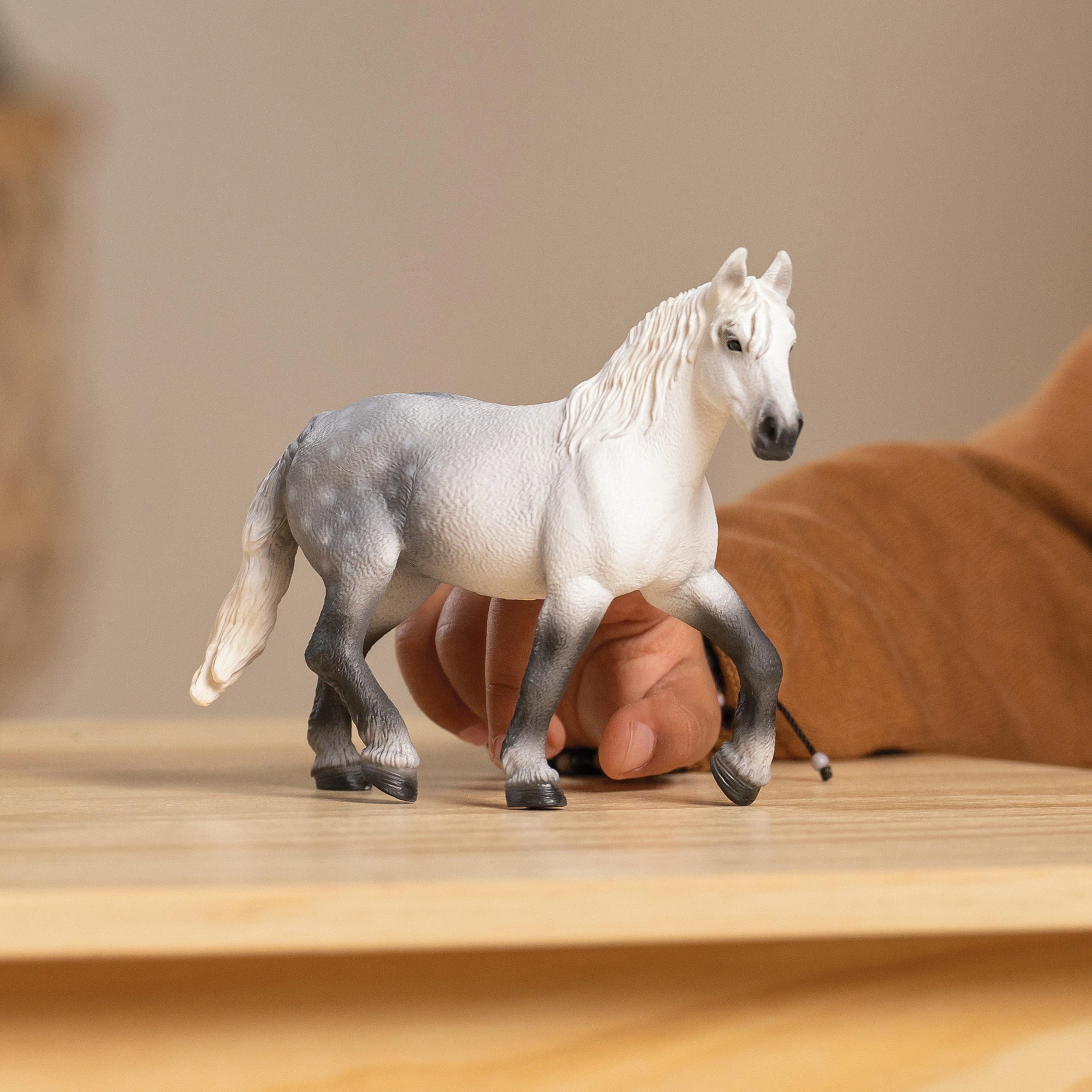 Percheron Mare - Image 2