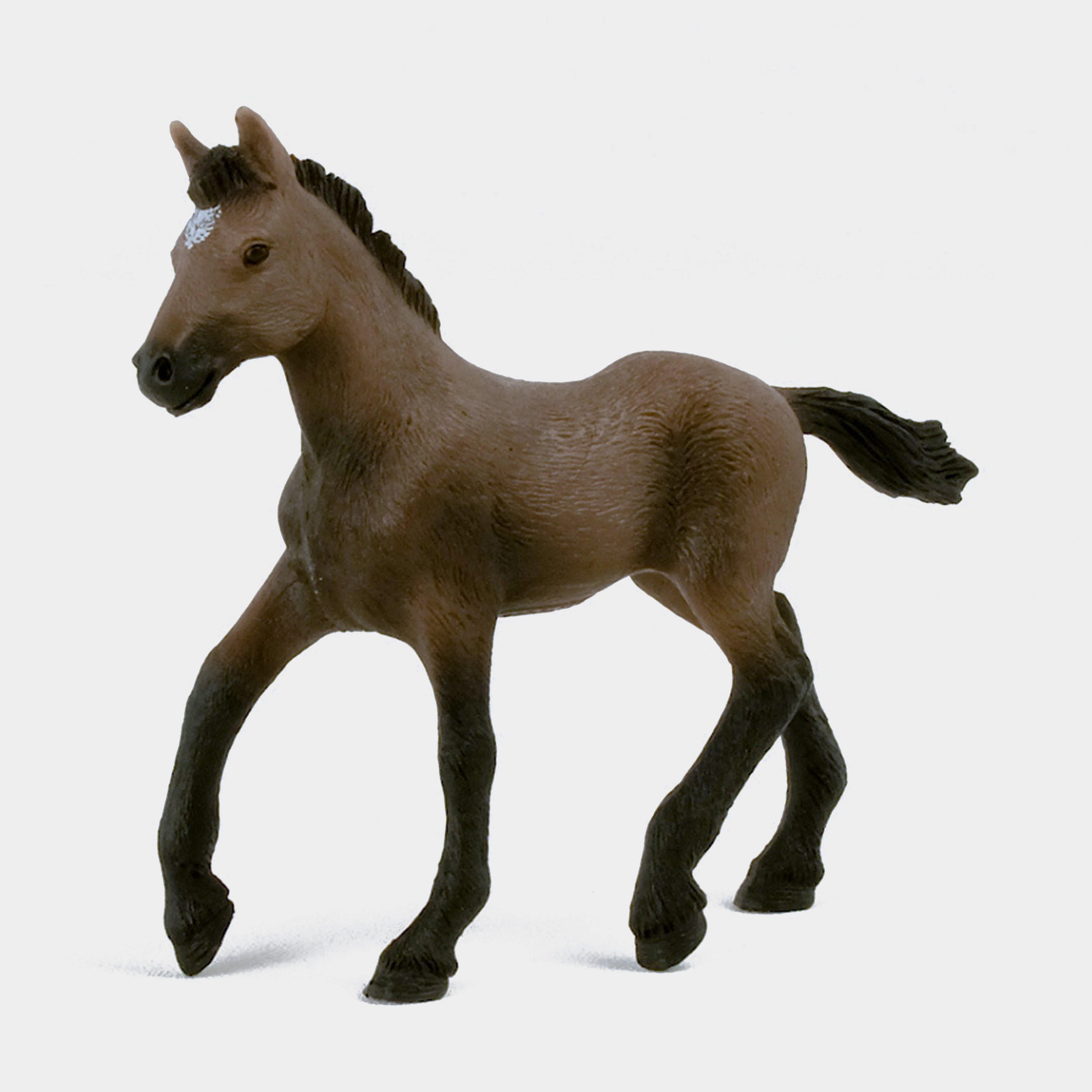 Peruvian Paso Foal - Image 2