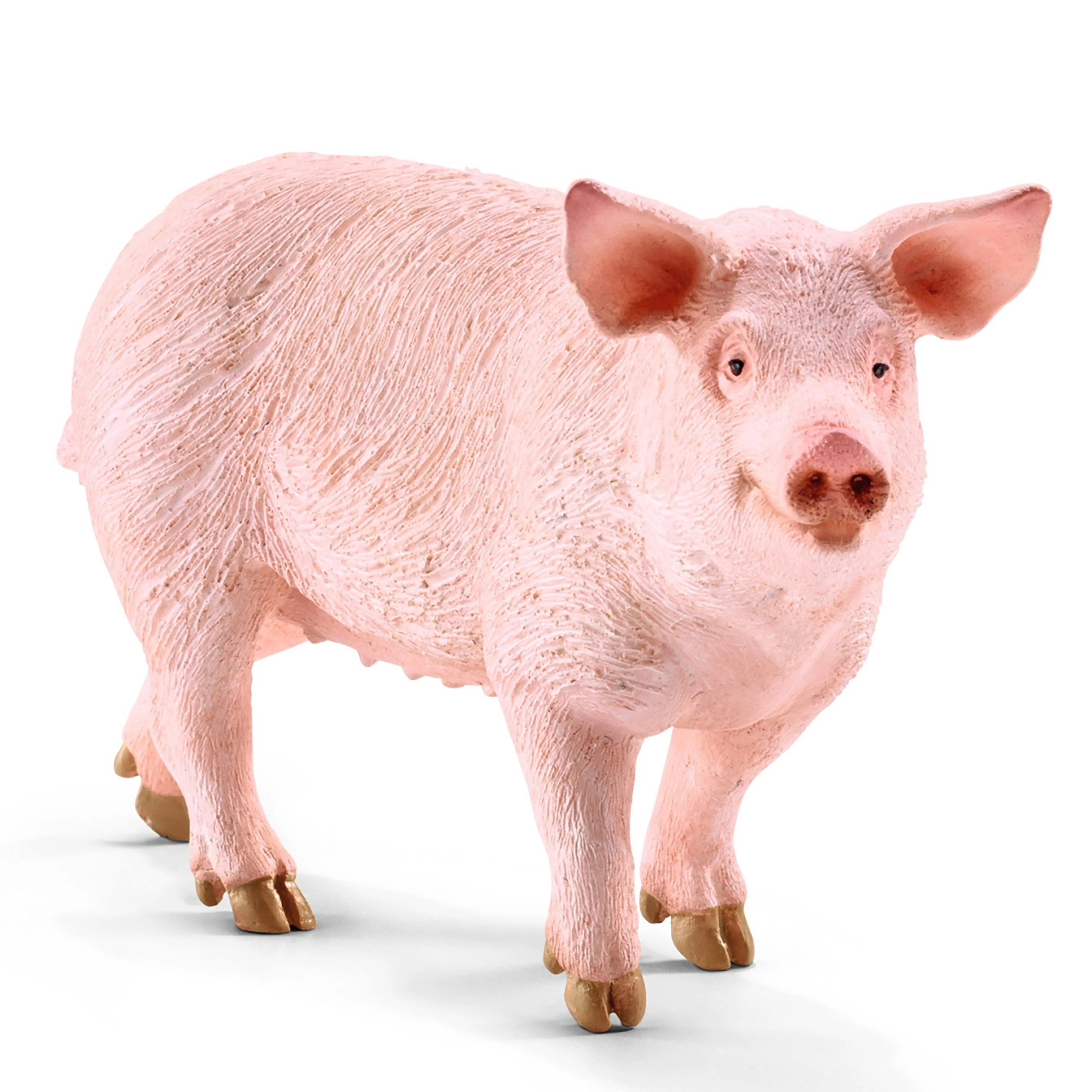 Pig - Image 2
