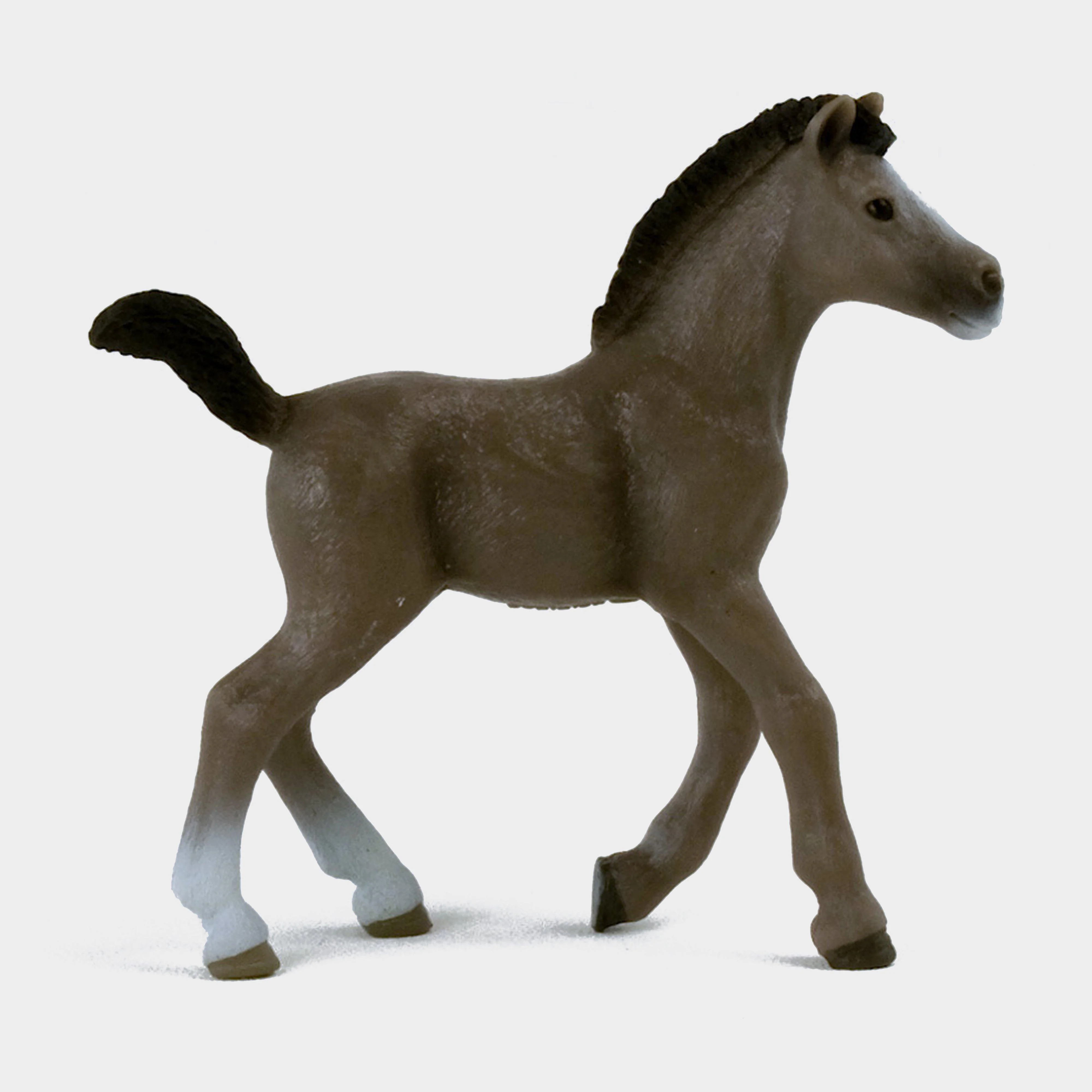 Selle Français Foal - Image 3