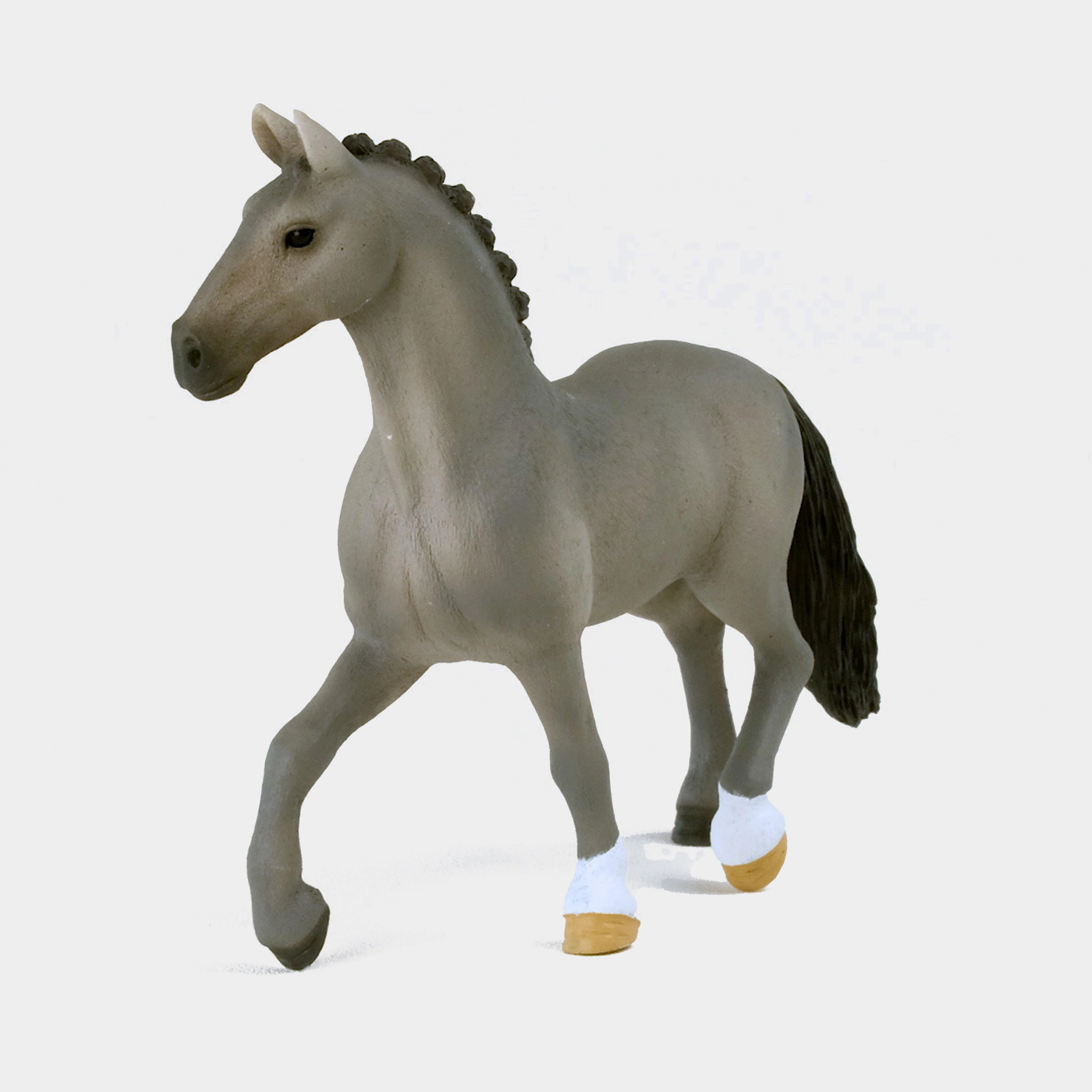 Selle Français Stallion - Image 3