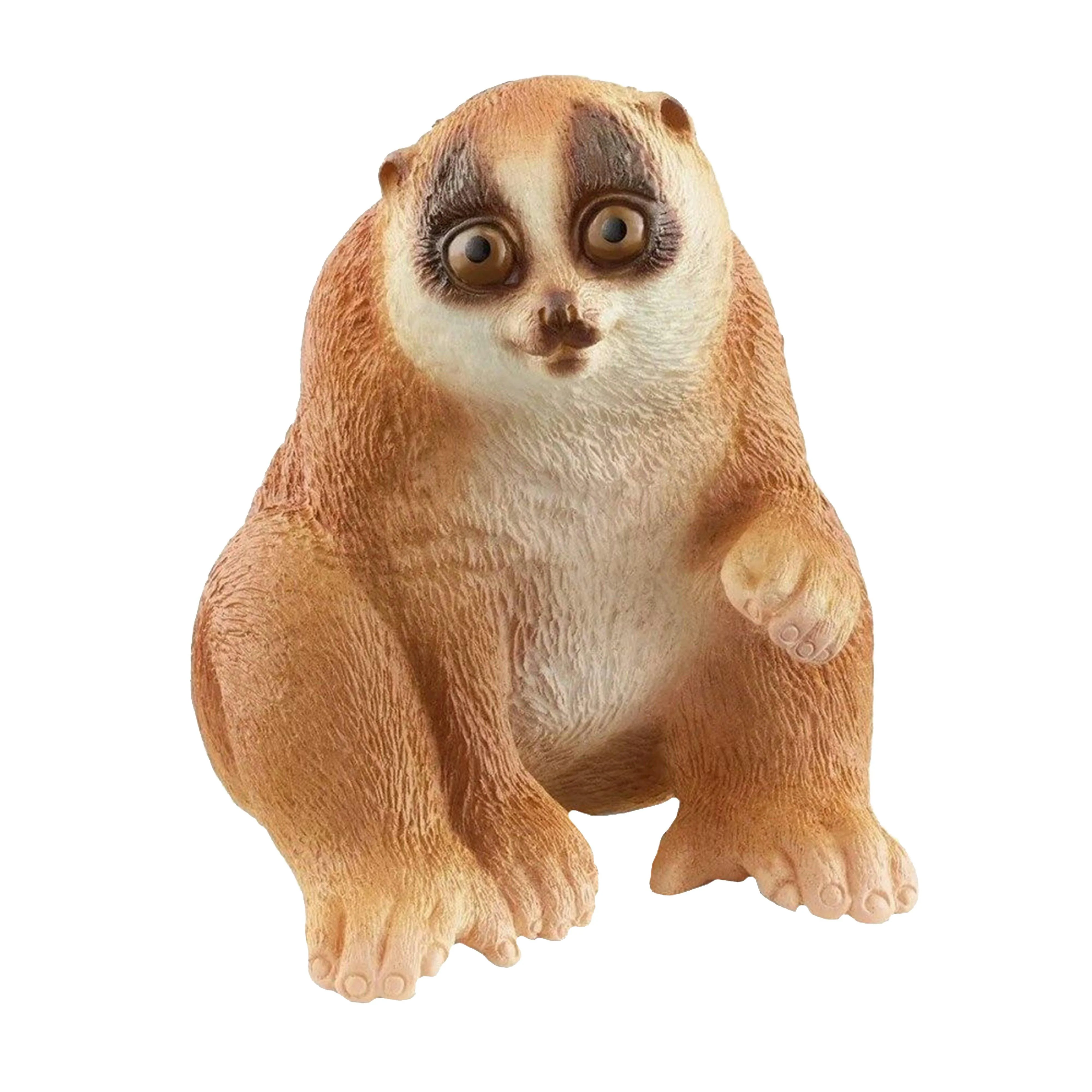 Slow Loris - Image 2