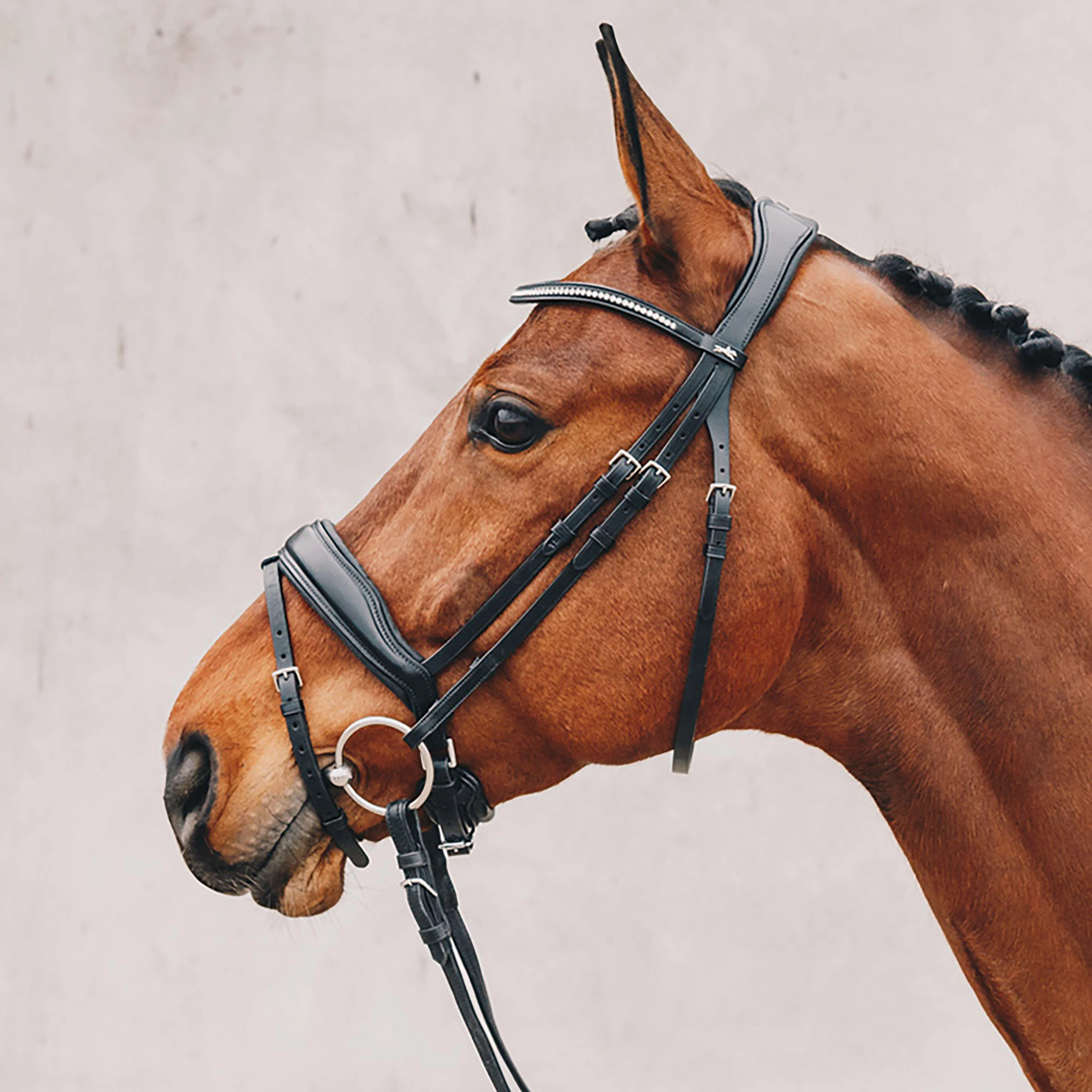 Stanford Flash Bridle Black - Image 2