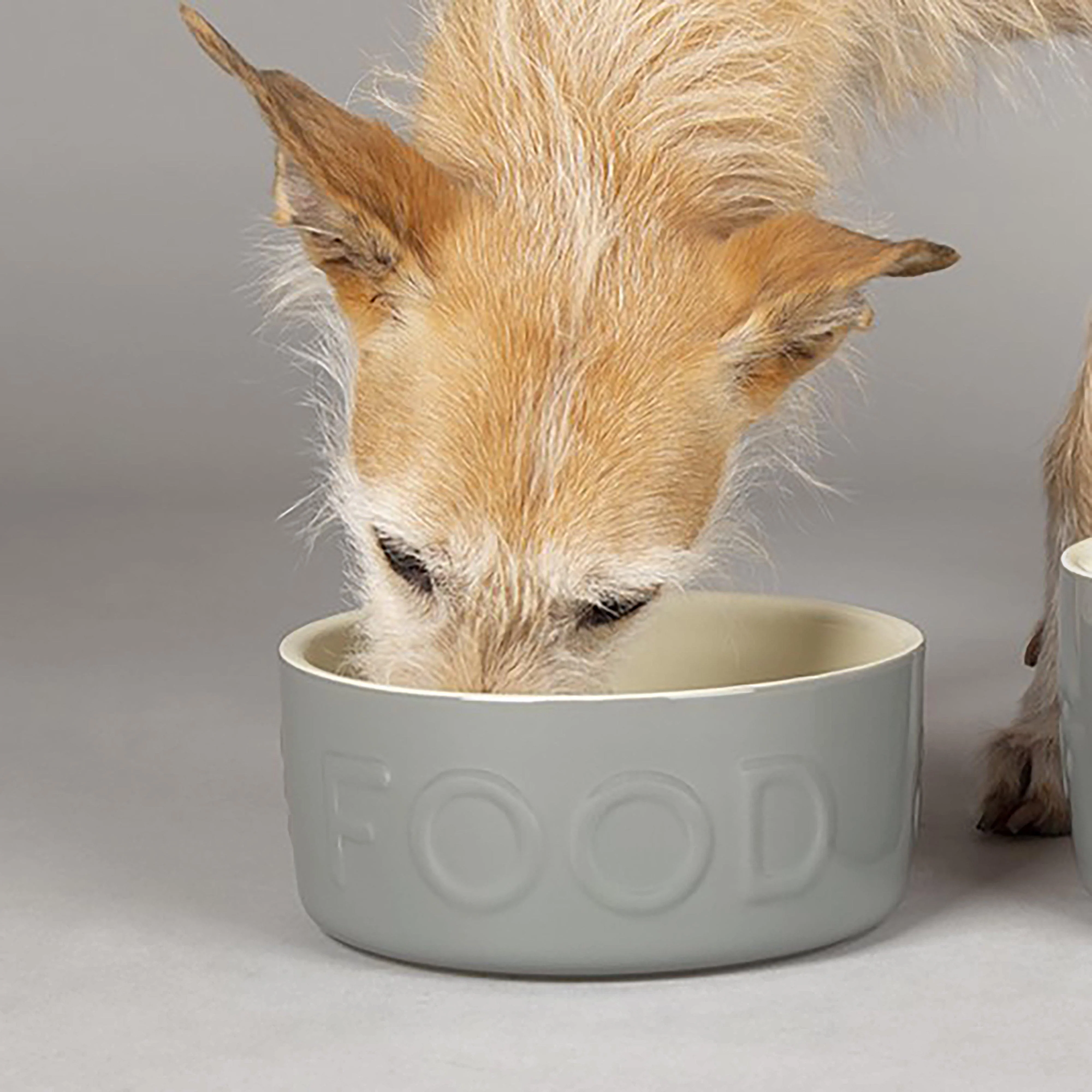 Classic Food Bowl Grey 19cm - Image 2
