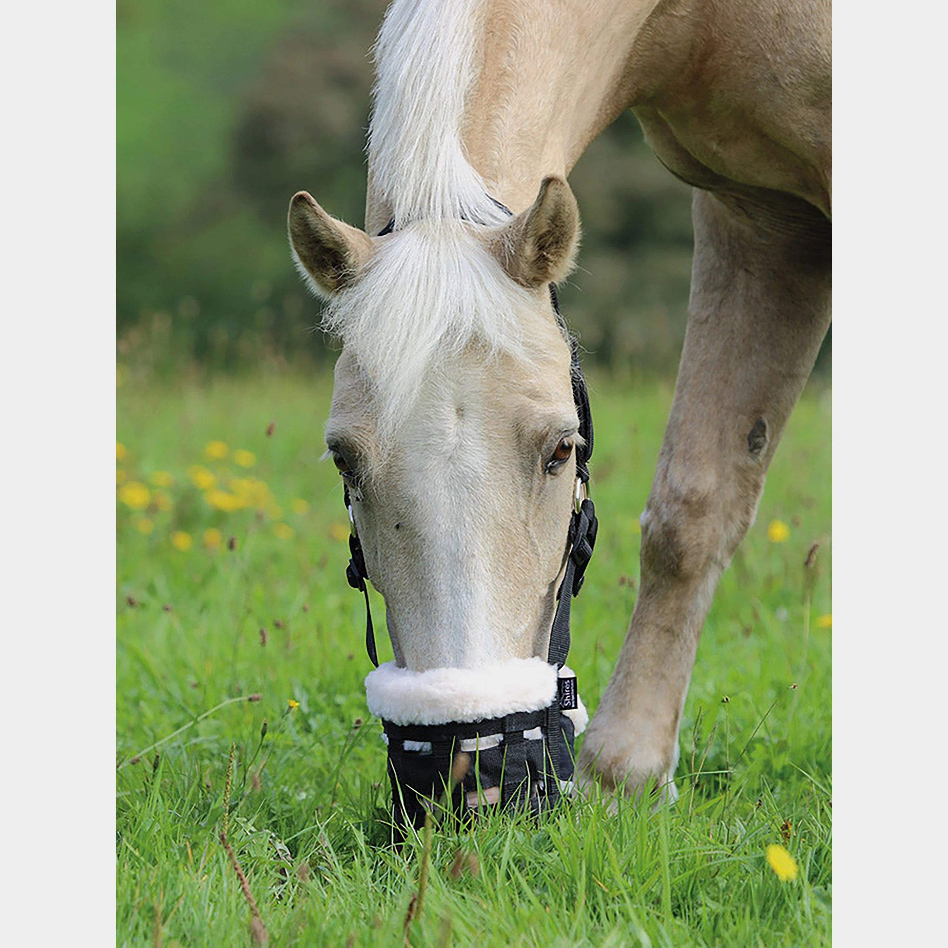 Deluxe Comfort Grazing Muzzle Black