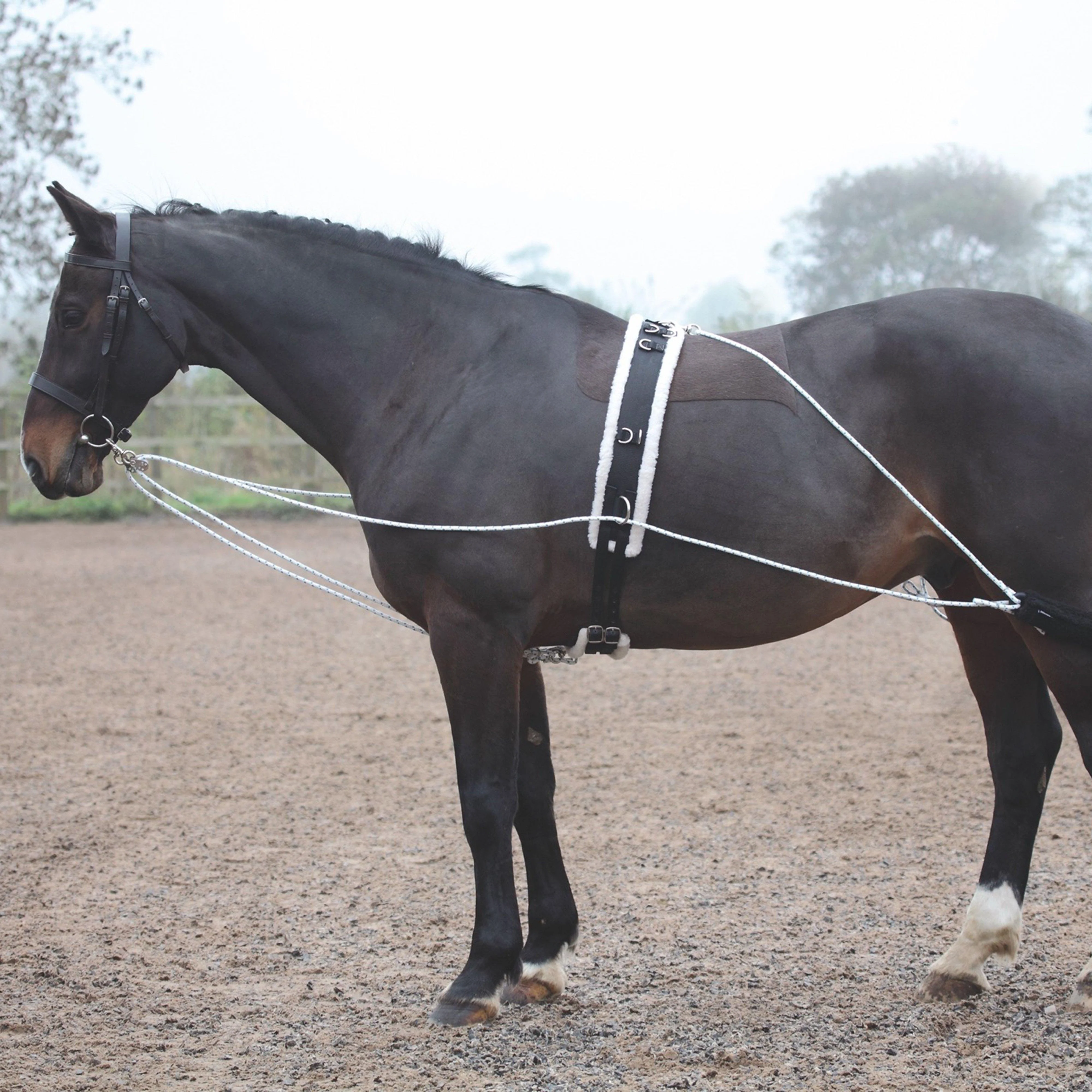 Lunging Aid Black