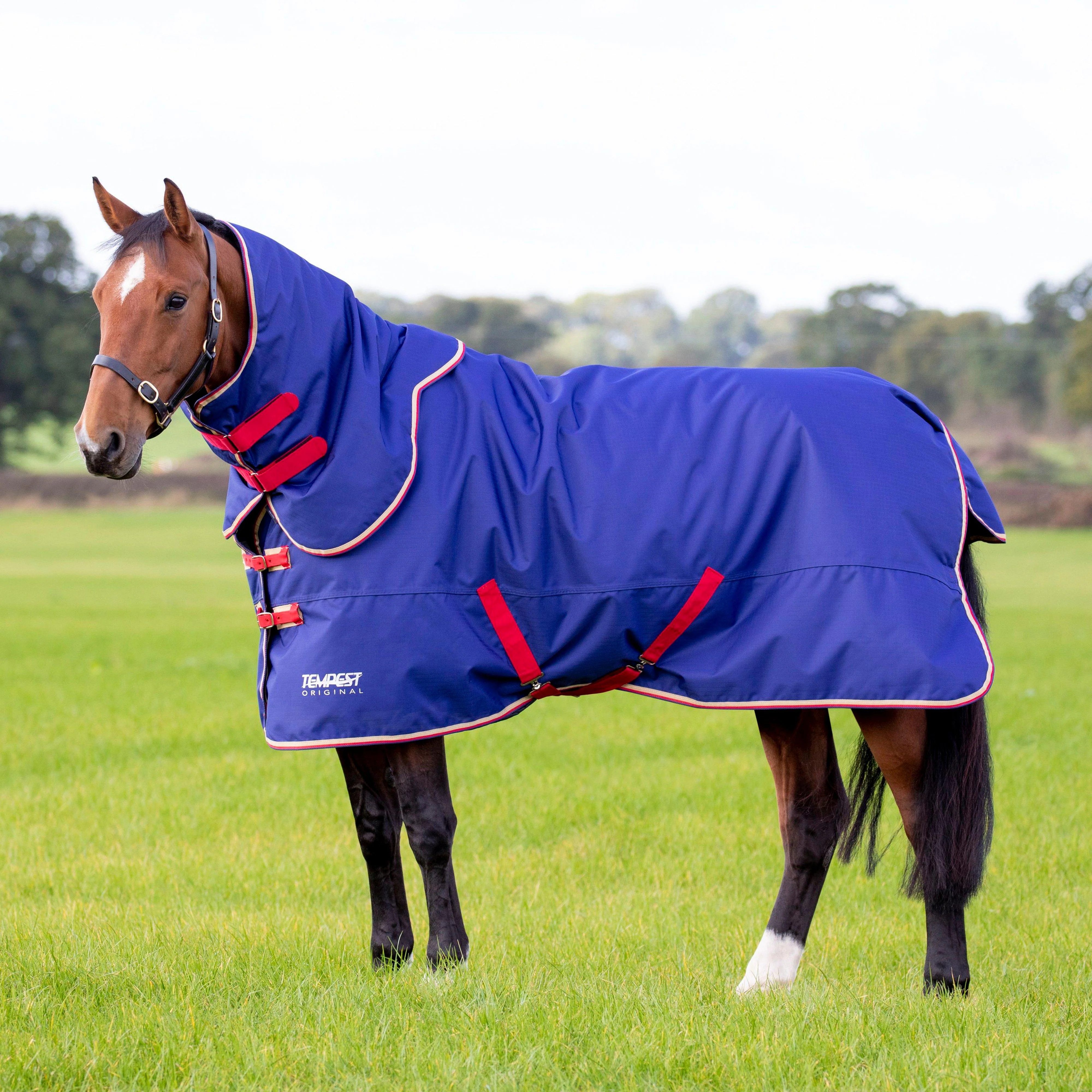 Tempest Original 100g Detach-A -Neck Turnout Rug Navy - Image 2