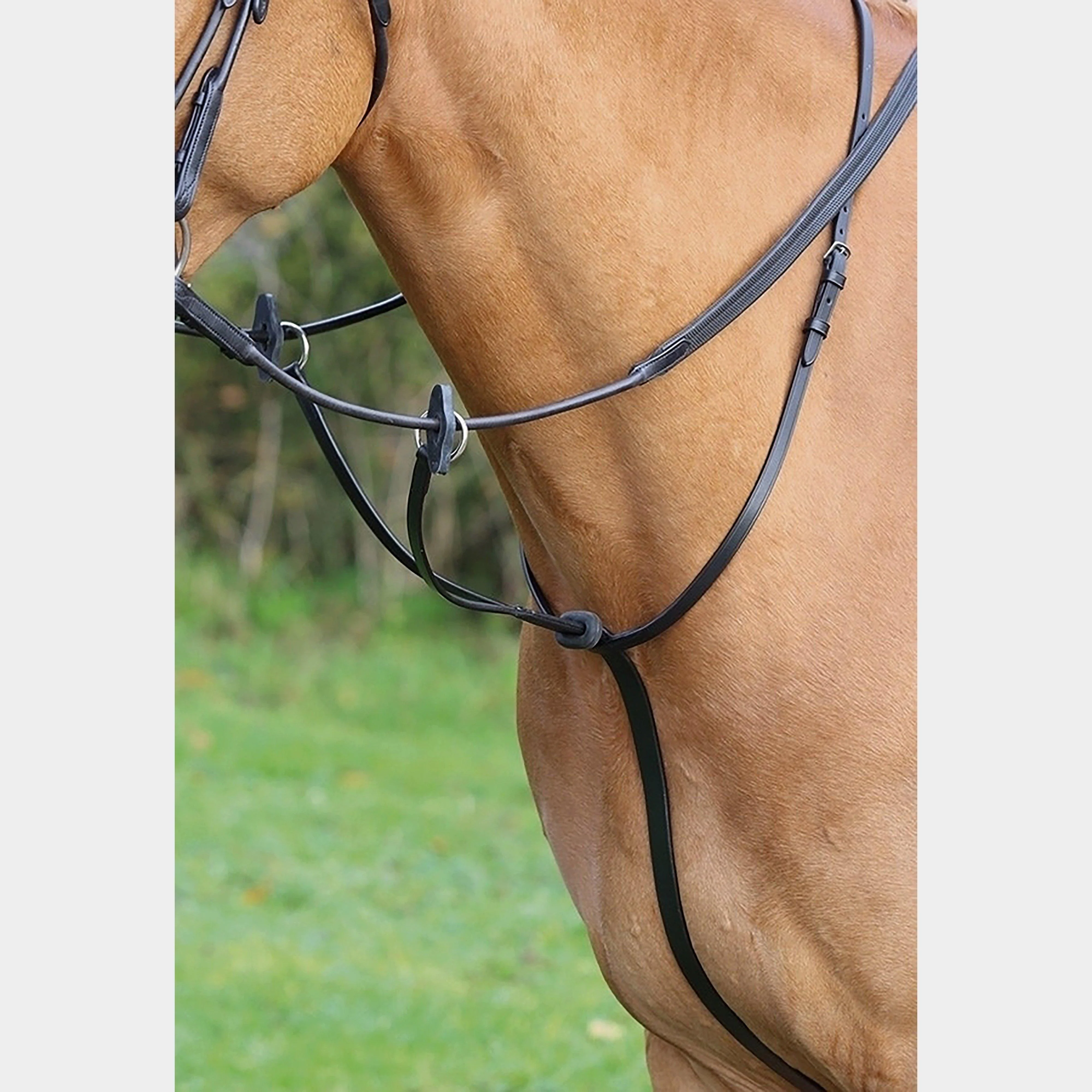 GARA Running Martingale Black