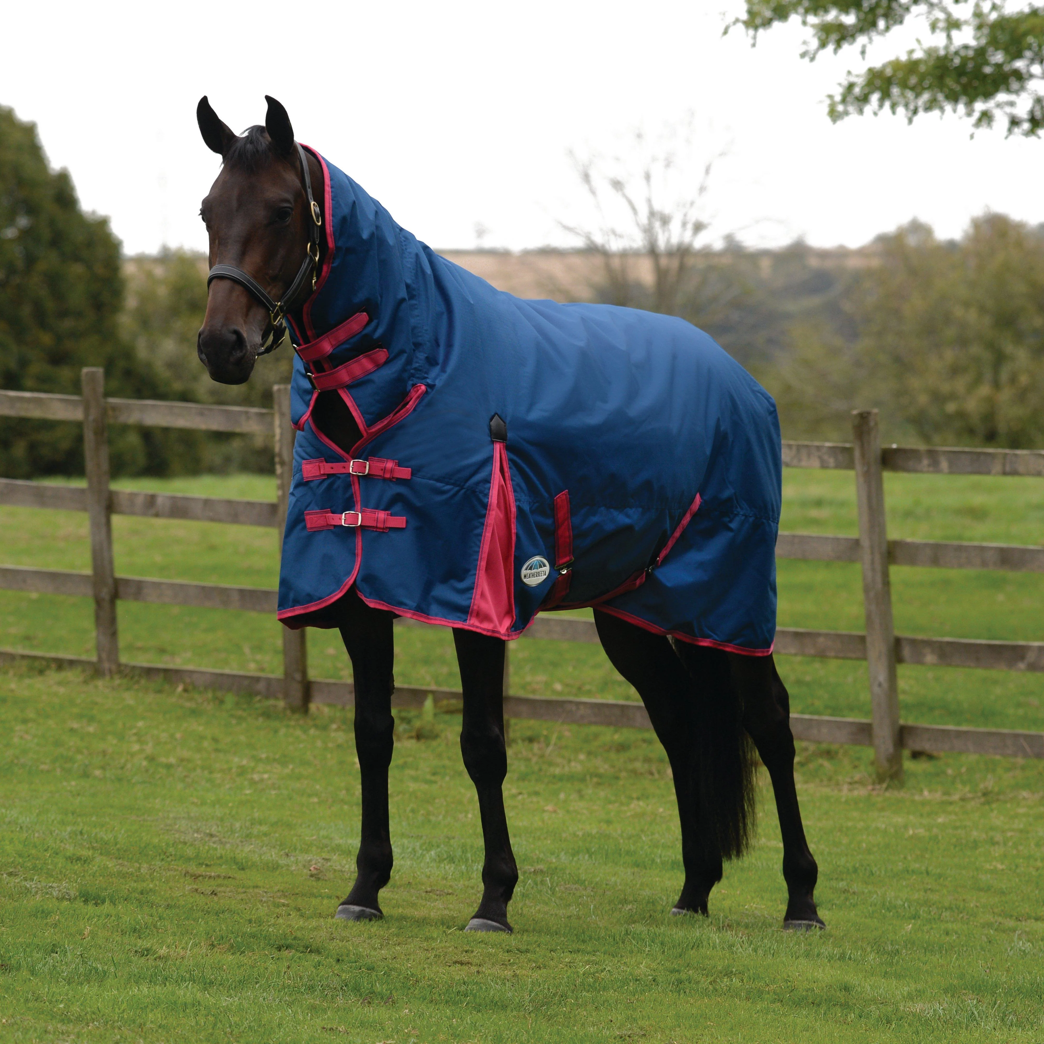 ComFiTec Classic 220g Medium Weight Combo Turnout Rug Blueberry/Pink - Image 2