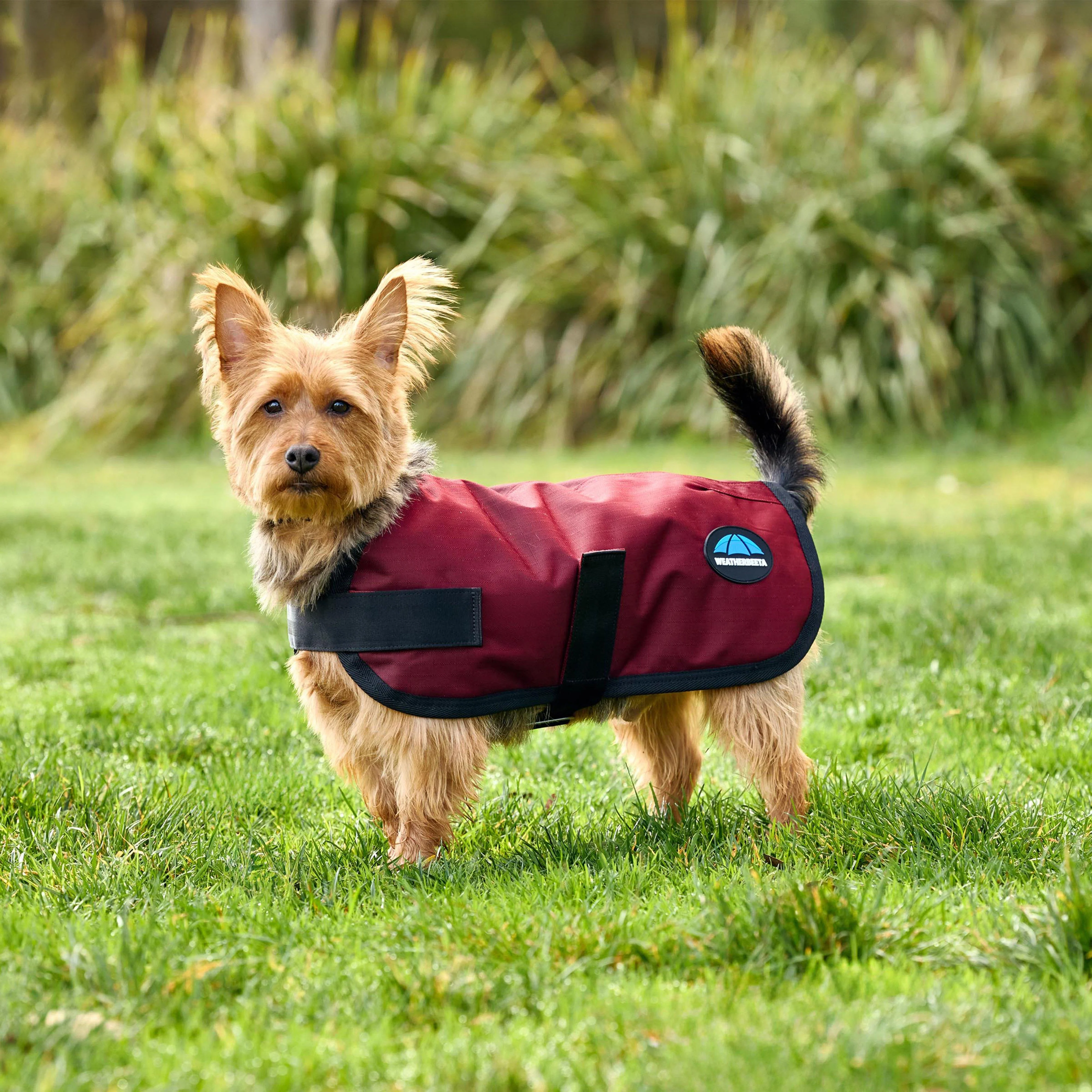 ComFiTec Classic Waterproof Dog Coat Burgundy - Image 6