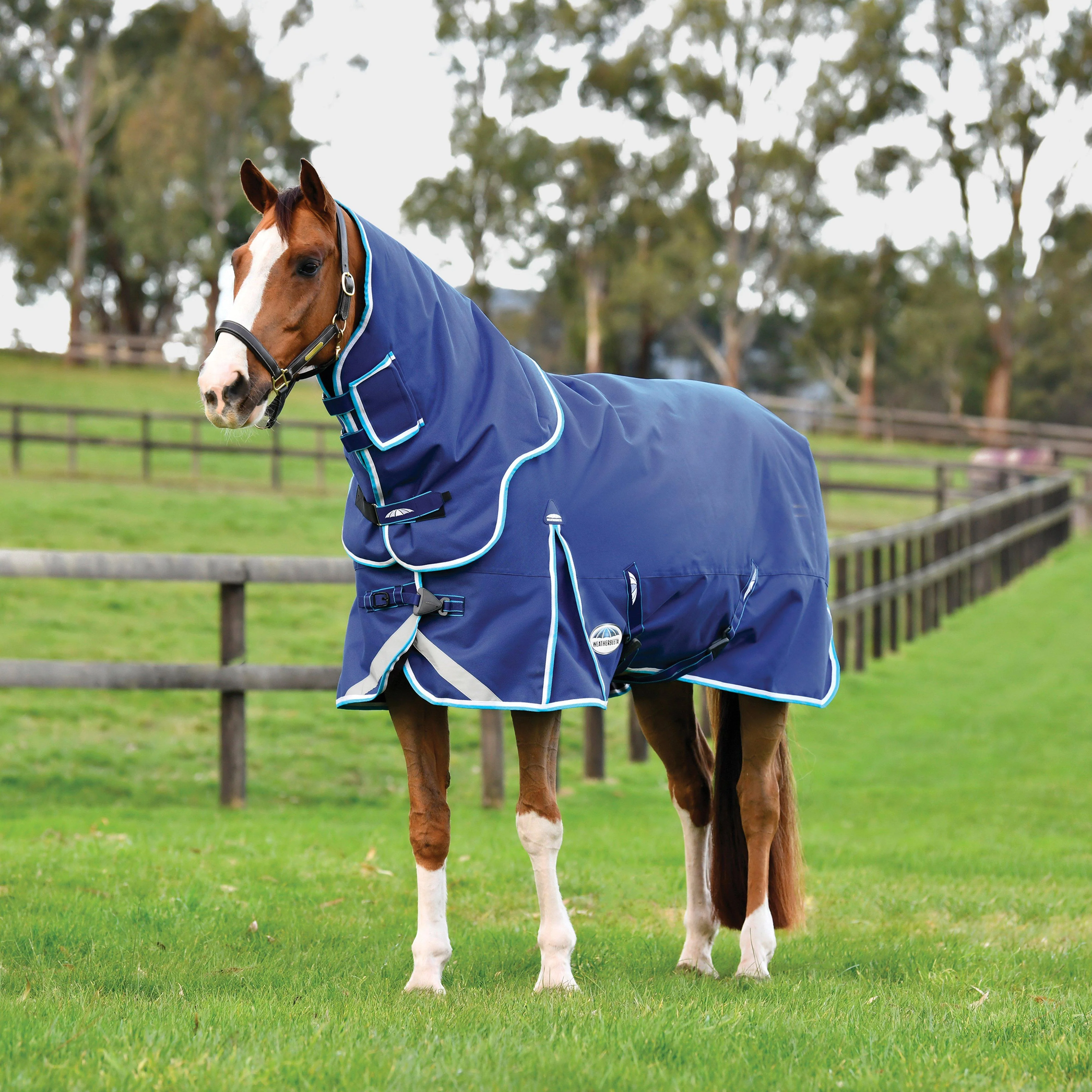 ComFiTec Ultra Hardi Detach-A-Neck 220g Mediumweight Turnout Rug Blue/Bright Blue/White - Image 3
