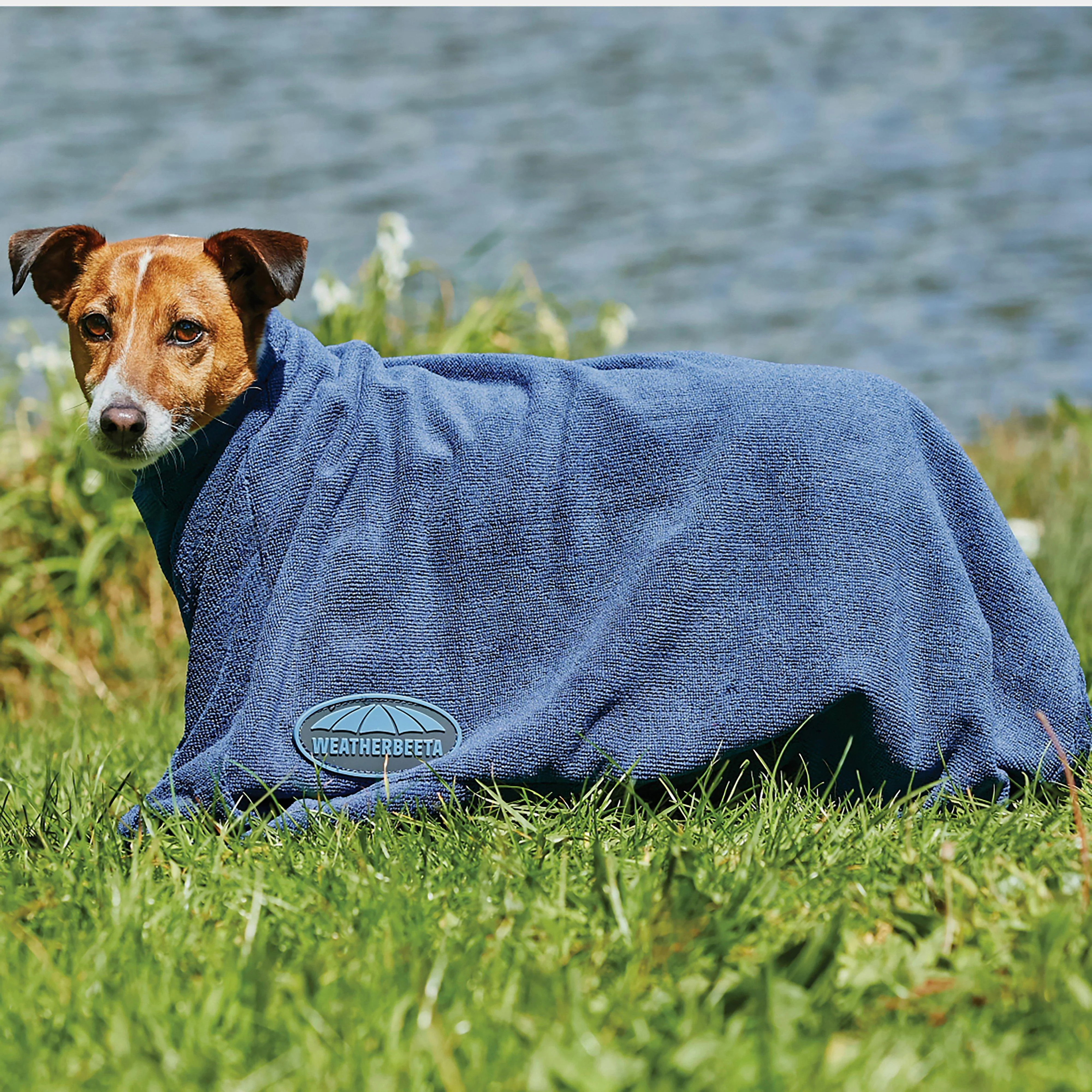 Dry Dog Bag Navy