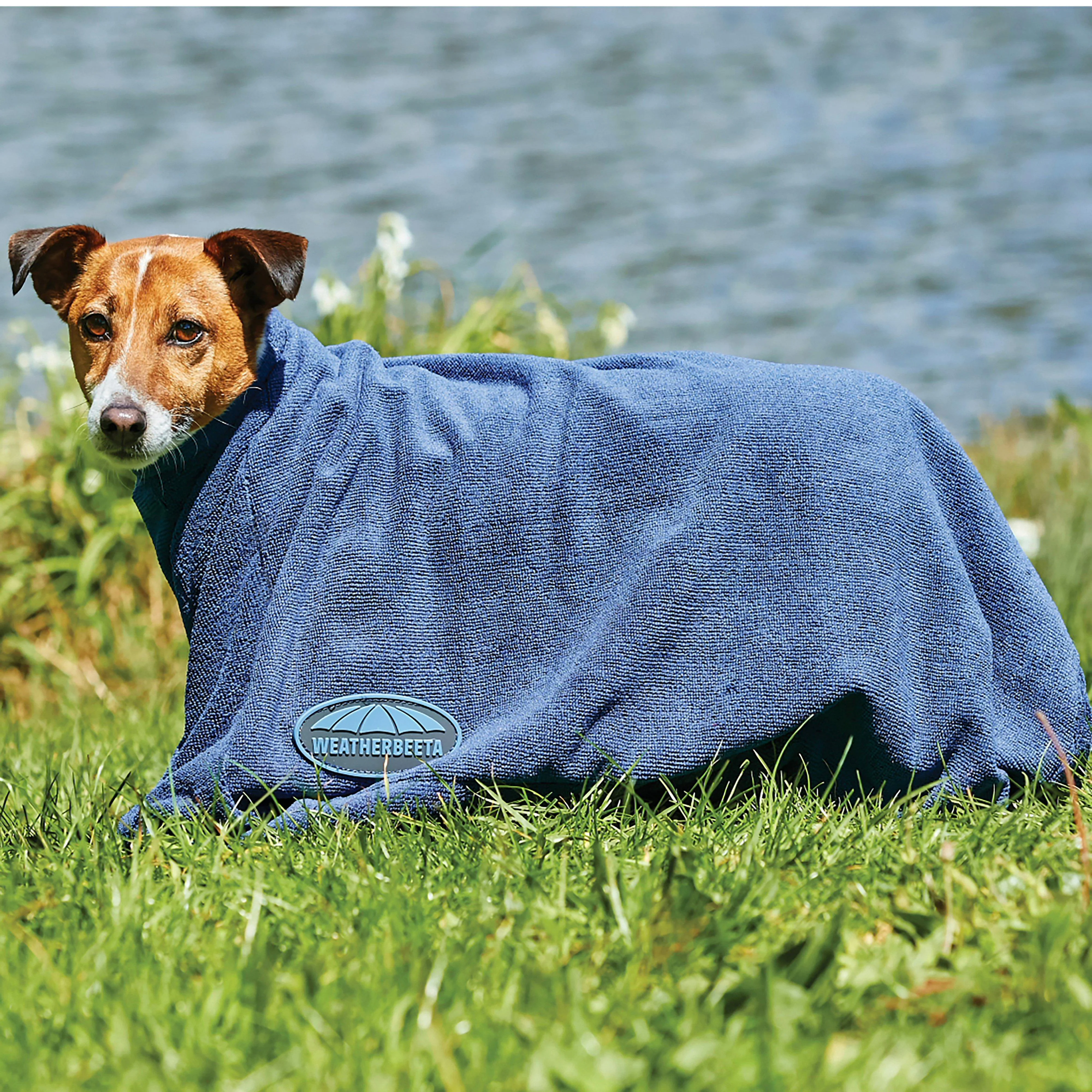 Dry Dog Bag Navy - Image 3