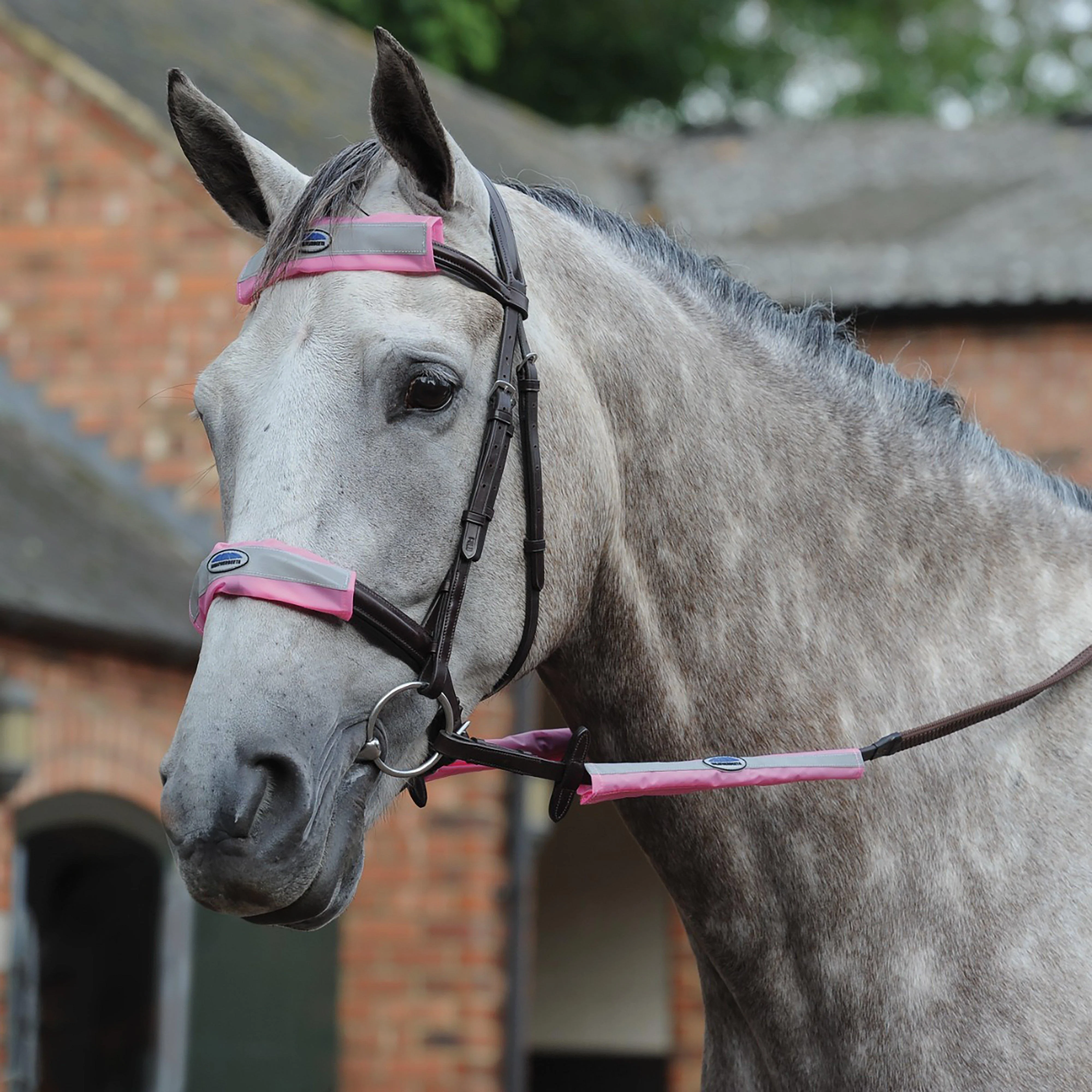 Reflective Bridle Set 4 Piece Pink - Image 2