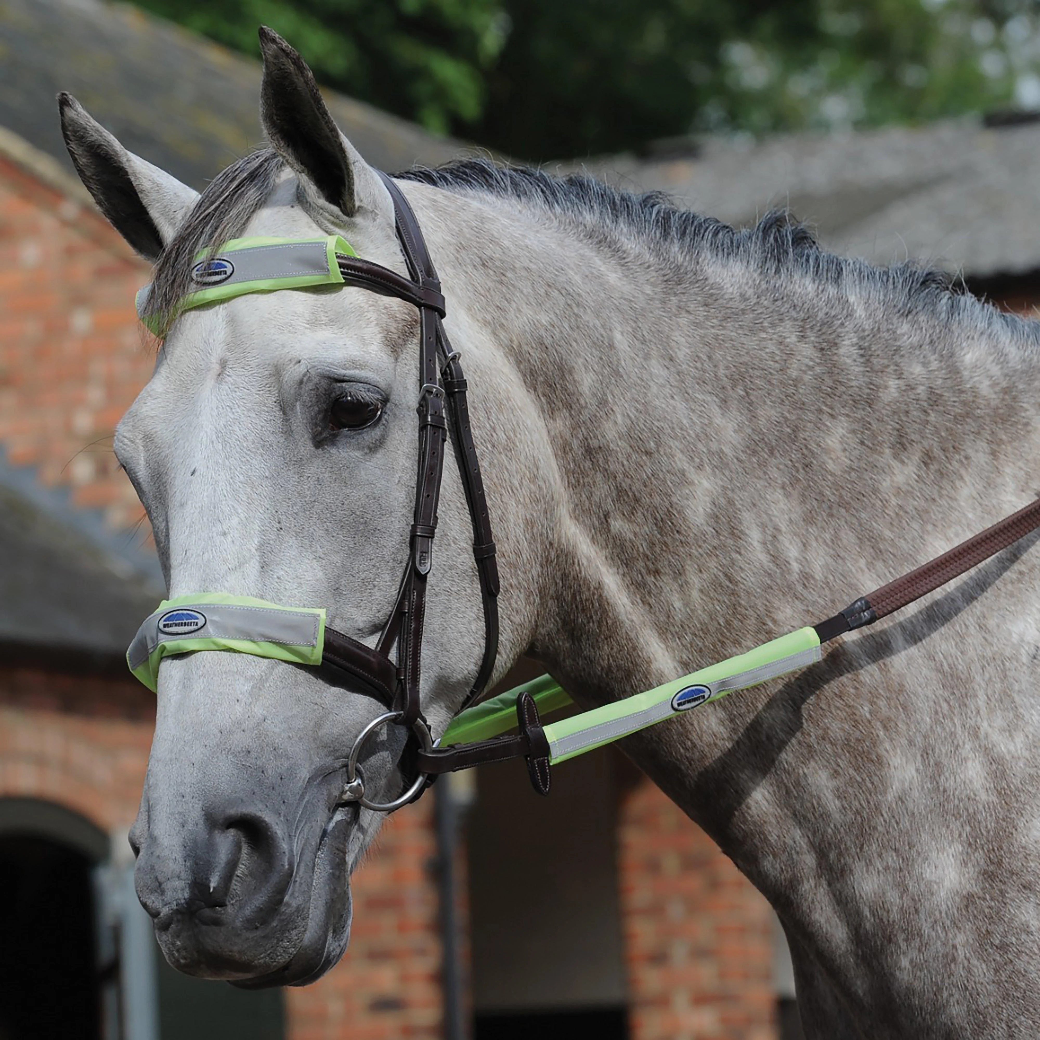 Reflective Bridle Set 4 Piece Yellow - Image 2