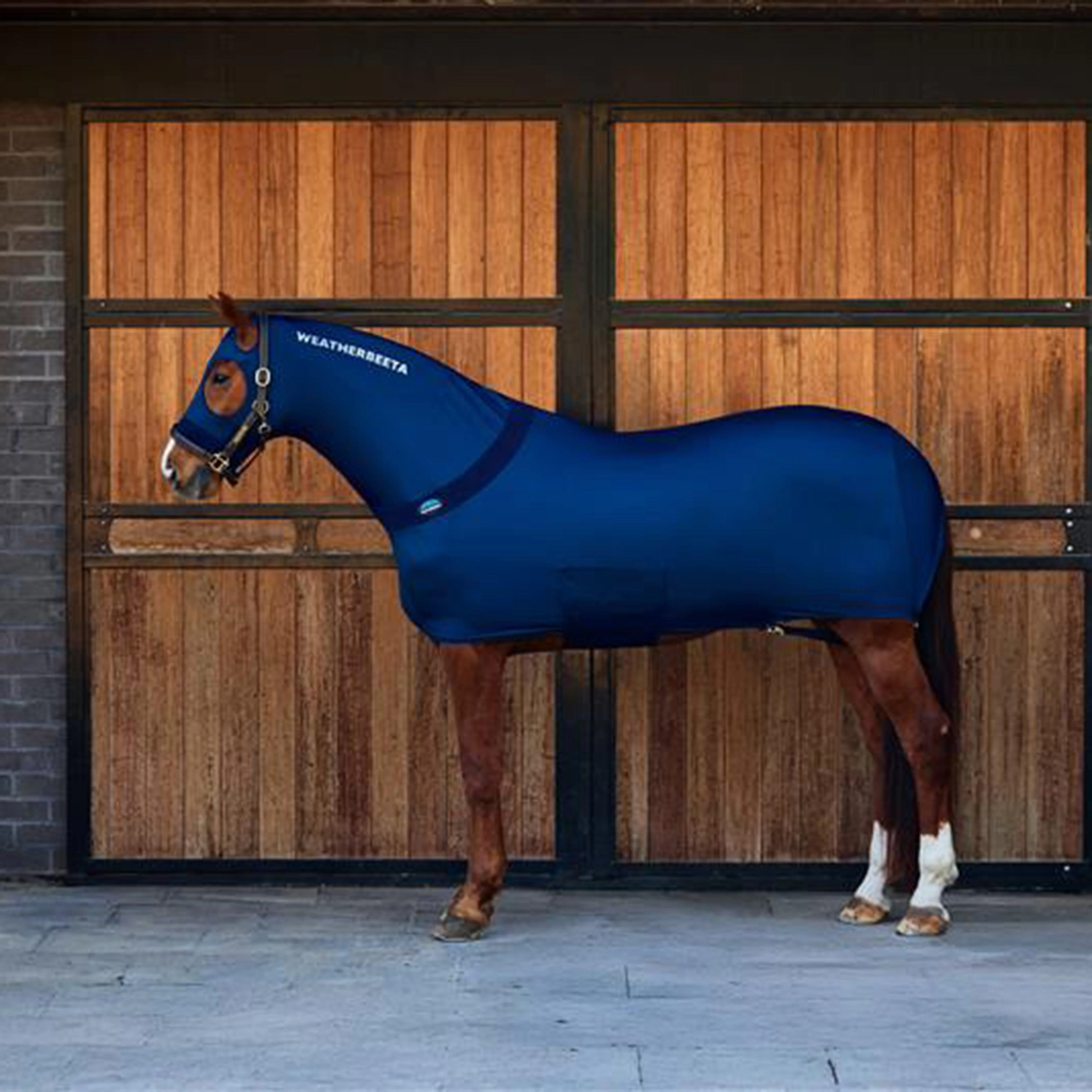 Stretch Rug Navy - Image 4