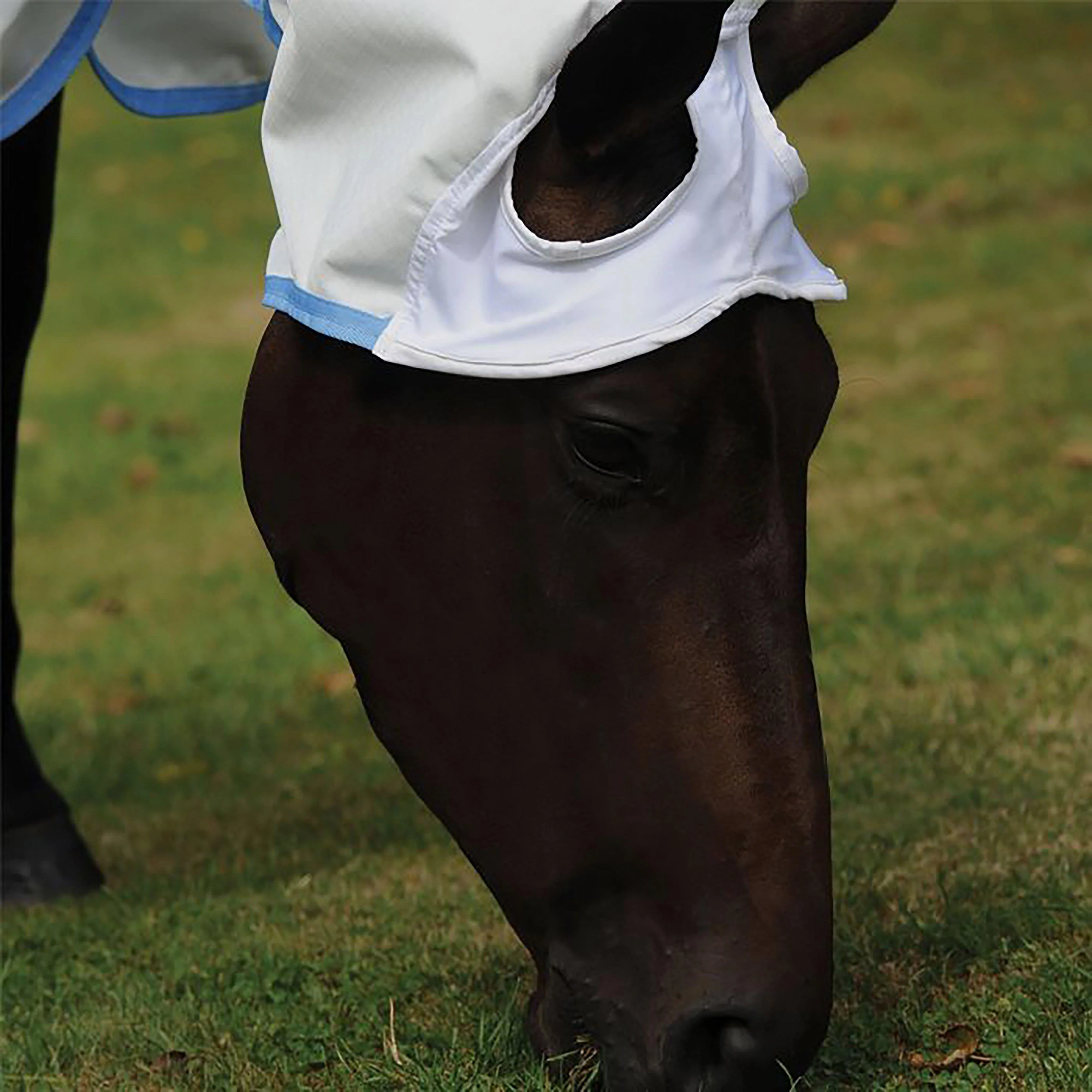 Sweet-Itch Shield Combo Neck Fly Rug White/Blue - Image 4