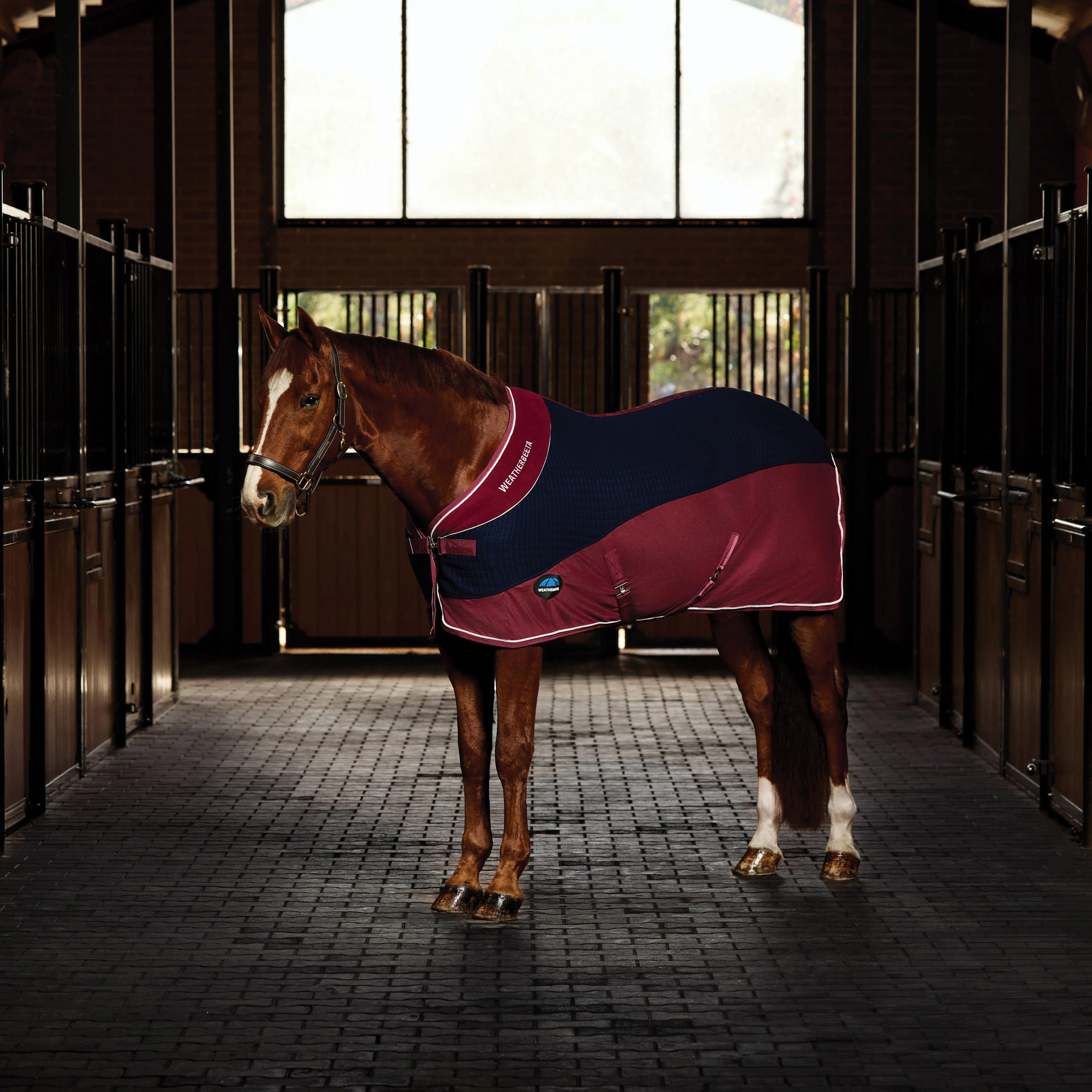 Thermo-Air Cooler Standard Neck Navy