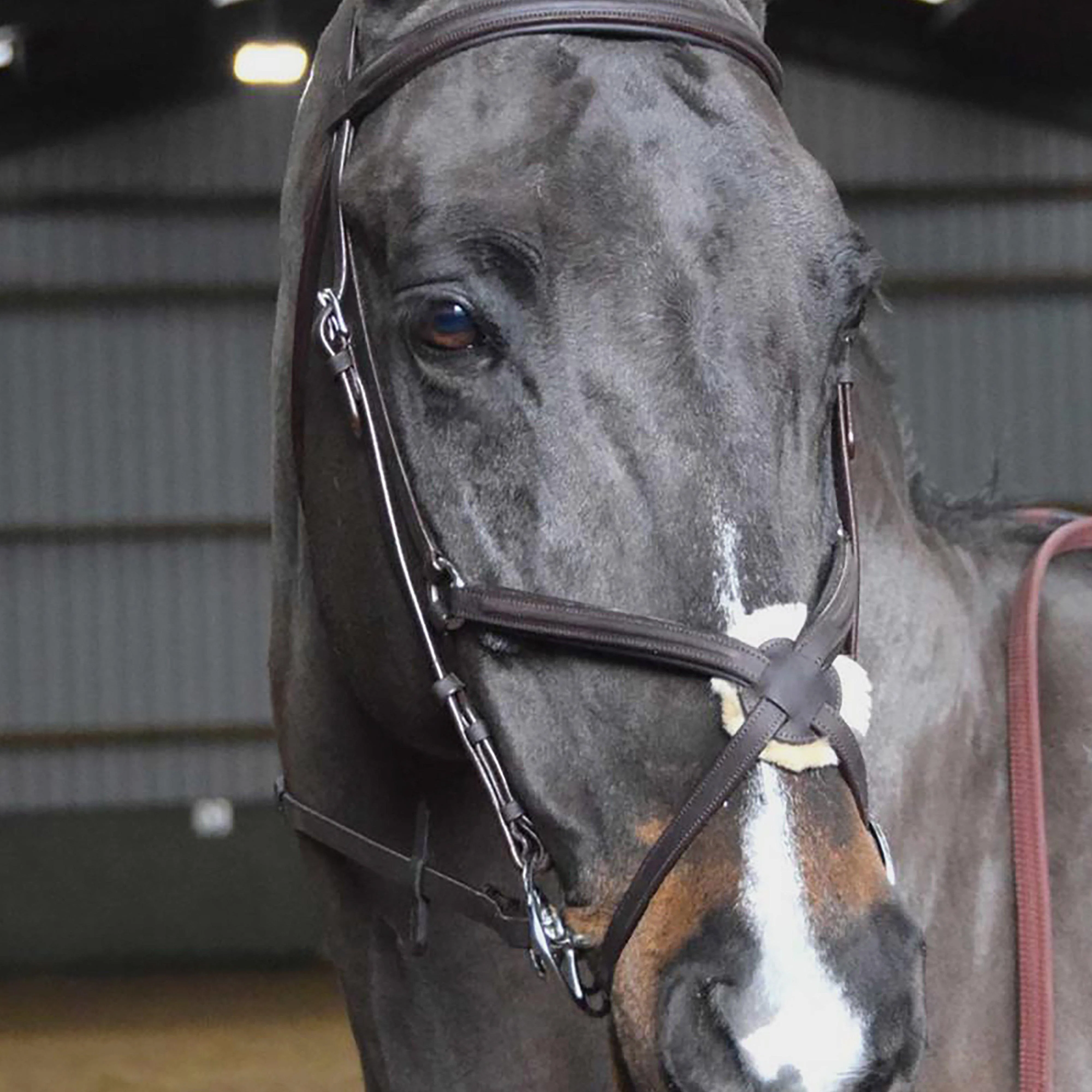 Ready To Ride Mexican Bridle Black - Image 2