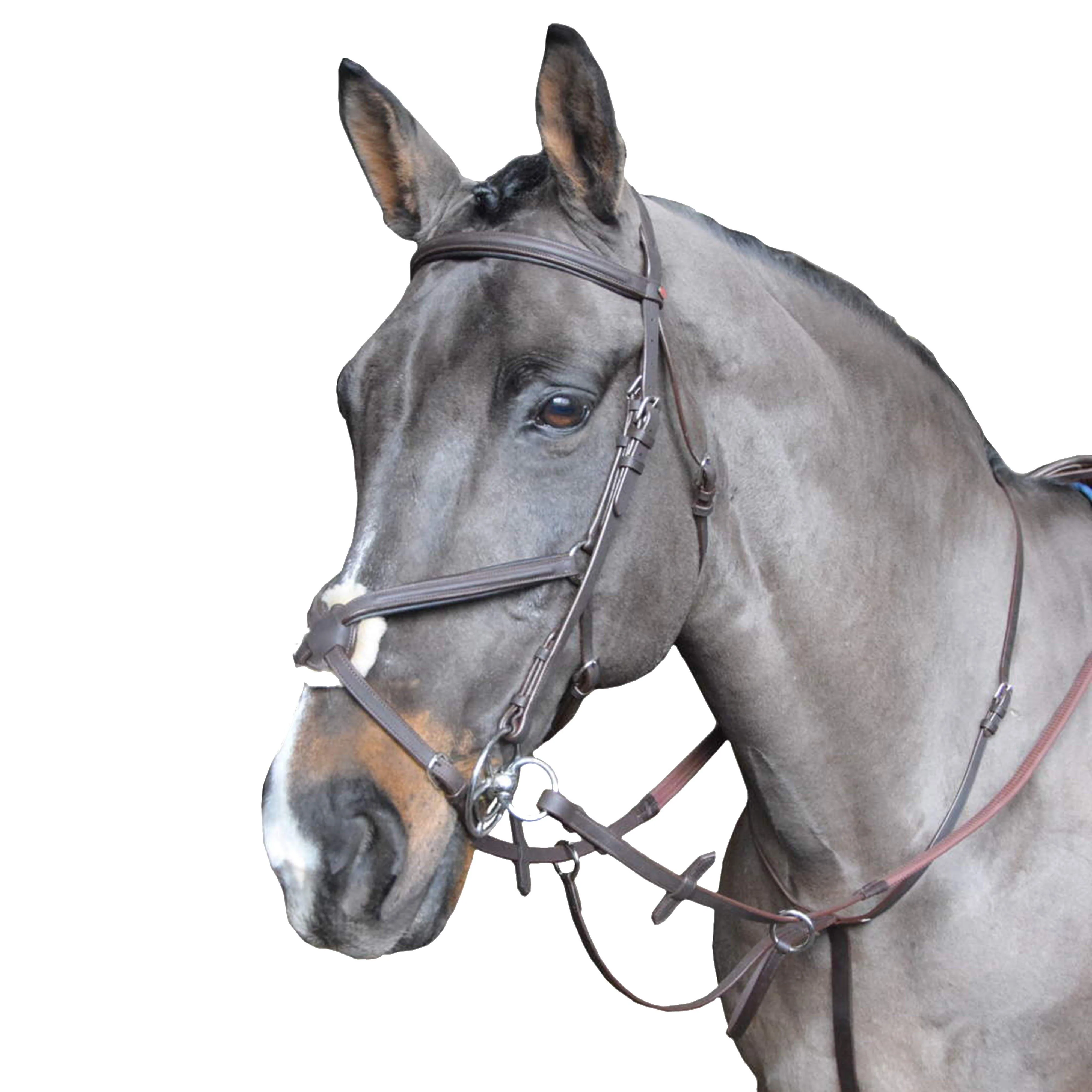 Ready To Ride Running Martingale Havana - Image 4
